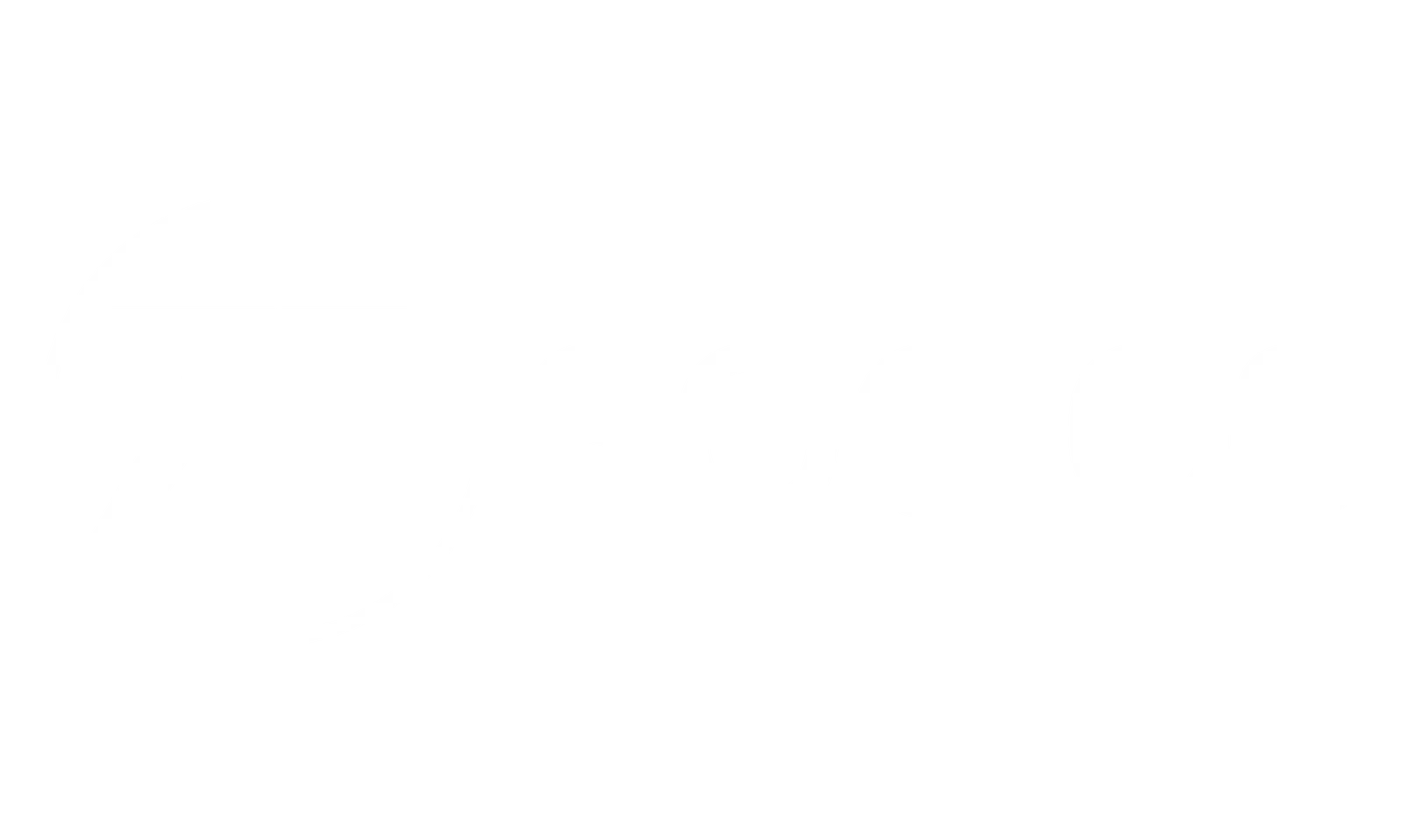 ZF Socios